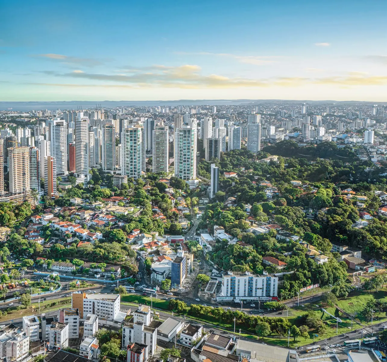 Vista panorâmica do Horto Florestal em Salvador